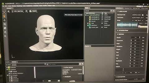 Learned Nvidia Omniverse Audio2Face from UE5