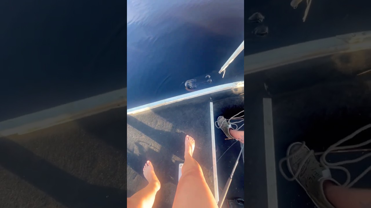 10 footer tagged! #florida #gators #hunting #boat #floridaman