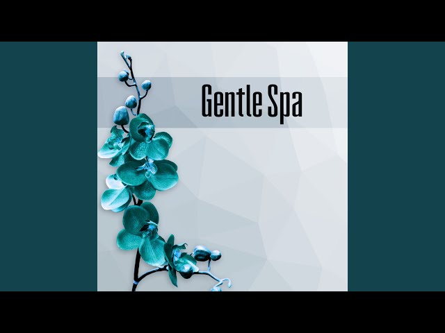 Amazing Spa Universe - Music for Aromatherapy