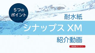 【紙通販ダイゲン】シナップス商品紹介
