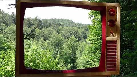 EINS+ALLES: Die beste Tagesschau von der Welt