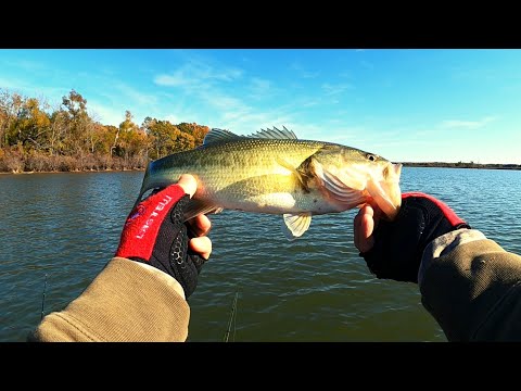 Bass fishing videos 