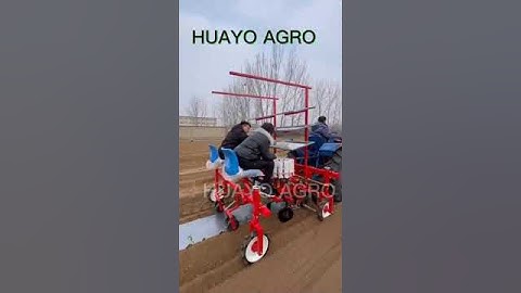 2 Row Hot Chili Pepper Transplanter with film cover