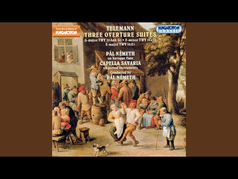 Guarda Suite in E Major for String Orchestra and Basso Continuo: Overture su YouTube