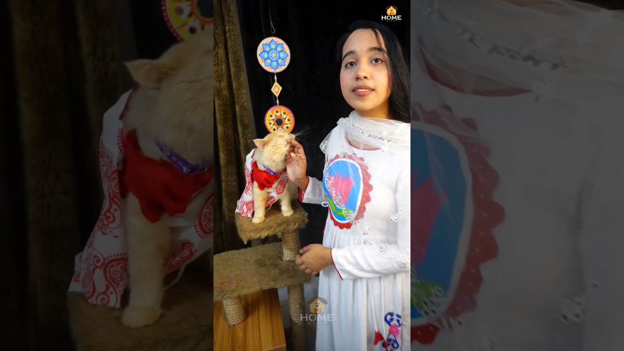 Home Maker BD (Learn How to Make cat wear a Sharee😱)