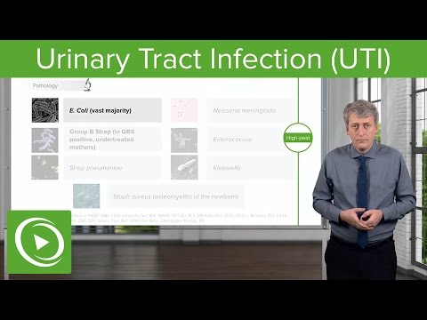Febrile Baby: Urinary Tract Infection (UTI) – Pediatrics | Lecturio