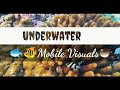 Underwater mobile visuals  arabian sea  lakshadweep