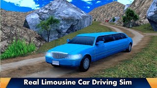 Real Limousine Car Driving Simulation 2017 screenshot 5