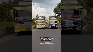 Bumblebee from time to time #tunggaljaya #busmania #shorts