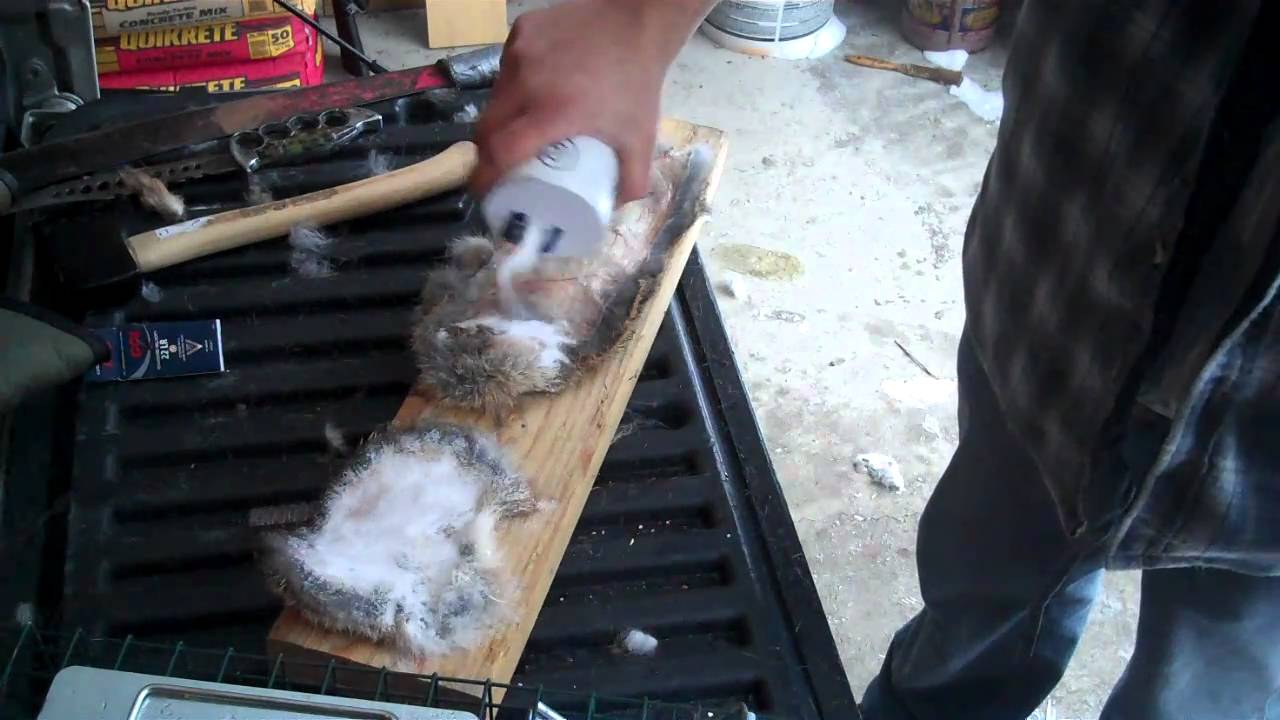 How To Preserve Your Animal Pelts YouTube