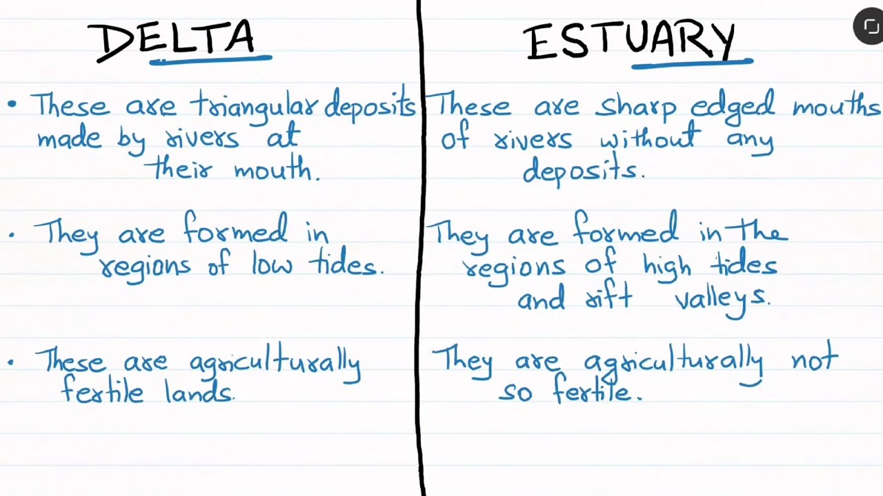 Difference between Delta and Estuary - YouTube