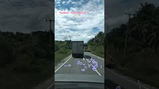 Download Lagu Lagu Batak Terbaru Nai Malvinas MP3