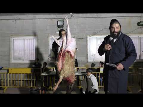 המחשת תרגול קרבן פסח - האליה