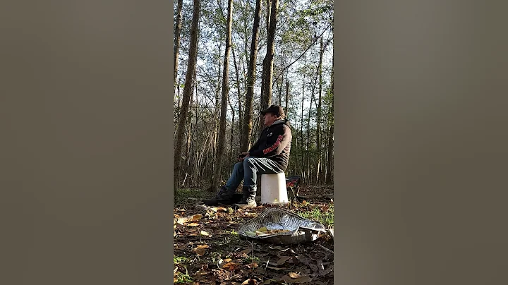 Bucket Hawk Sharing Food And Tunes With The Animals