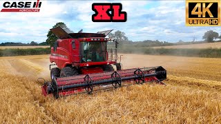 4K UHD 2025 XL Case 7120 Combine Harvesting Wheat Agriculture Tractor Staffordshire UK