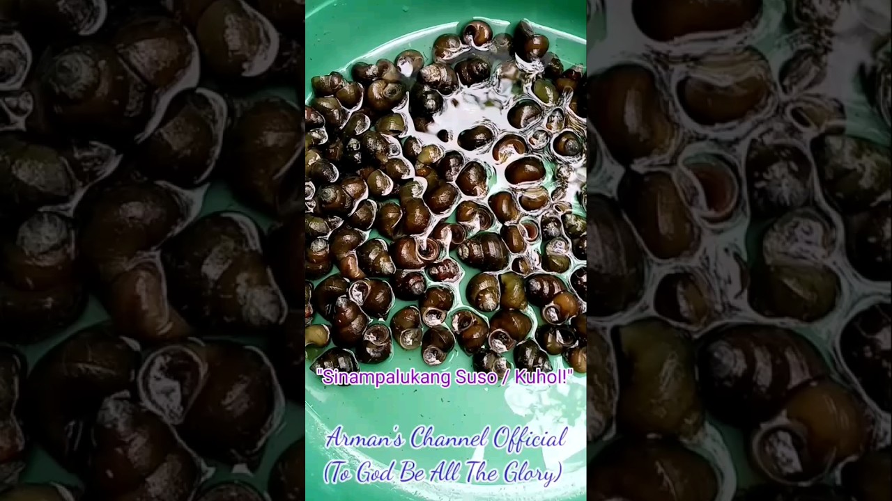 SINAMPALUKANG SUSO / KUHOL.. LUTONG PINOY.. SO YUMMY AND HEALTHY!