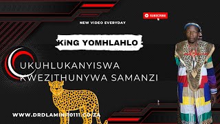 ISITHUNYWA SAMANZI SIYAHLUKA ISITHUNYWA SOBUNGOMA ISANGOMA AKASIPHAKAMISI ISITHUNYWA SAMANZI