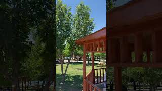 Ferdi Tayfur - Bak Benim Için👁️