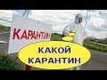 ВОТ ПОЧЕМУ В НИКОЛАЕВЕ НЕТ КОРОНАВИРУСА! КАК НИКОЛАЕВЦАМ НАЧХАТЬ НА КАРАНТИН ПЕРЕД НОСОМ У МЕРИИ!