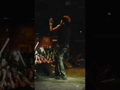 elephant man shell down Boston
