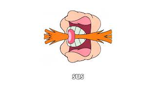 the various types of pingas