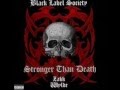 Zakk wylde - Superterrorizer