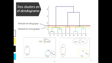 Interpretación del Dendrograma #shorts