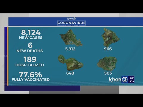 Hawaii reports 8,124 COVID cases, 6 new deaths