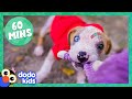 60 Minutes Of Fearless and Fuzzy Animals | Animal Videos | Dodo Kids