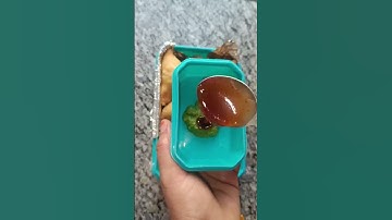 Desi Lunchbox ideas for kids | #shorts