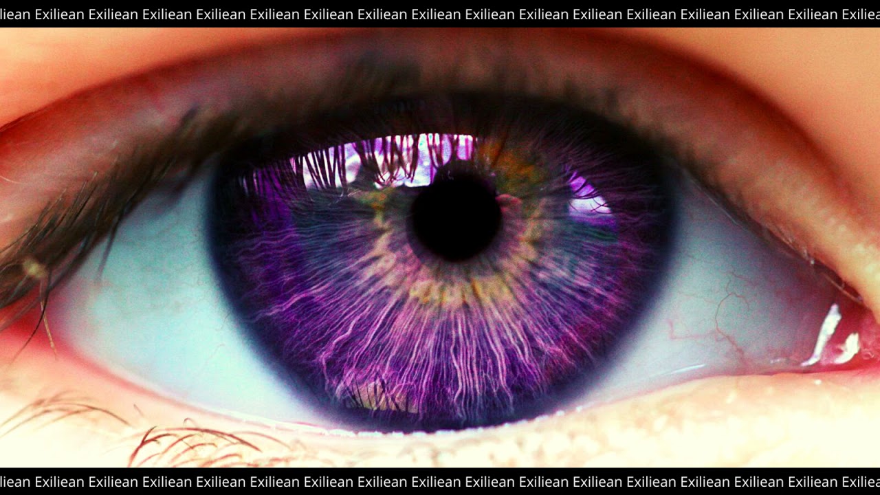 Purple Eyes Morphic Field + Affirmations - YouTube