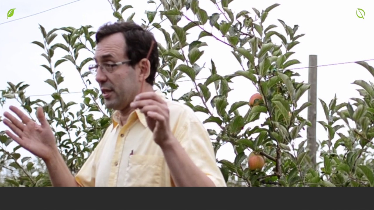 Farmvisit Philippe Rothgerber - Integrated Apple Production