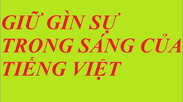 SOẠN BÀI GIỮ GÌN SỰ TRONG SÁNG CỦA TIẾNG VIỆT