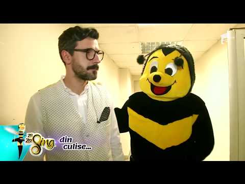 Ciprian din band-ul Humans este stresat de albinuța Za Za Sing, chiar de ziua lui de naștere