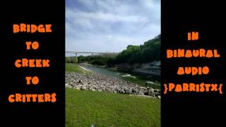 Audio Only Bridge To Creek To Critters Parristx Binaural