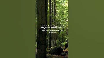 أفرأيتم النار التي تورون | ياسر الدوسري قرآن كريم الآية 71 من سورة الواقعة