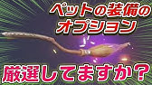 リネレボ２ 元英雄が教える ペット装備の選び方 そのペット装備それでいいの リネージュ２レボリューション Youtube
