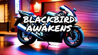 Iconic HONDA CBR1100 XX Blackbird  | AWO - Rock This Club