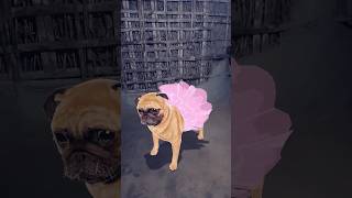 #shortvideo#youtubsvideo#viral#kuttakavideo