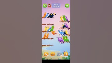 #bird #sort #level 76