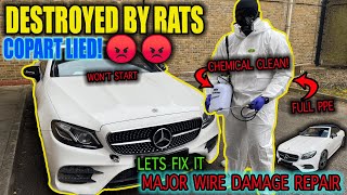 SALVAGE NATION | GIANT RATS DESTROYED MY 2018 Mercedes E220 \& COPART LIED ABOUT IT!!! (part 2)