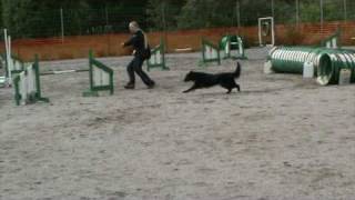 Mölli 4 , Hattiwatti.mpg