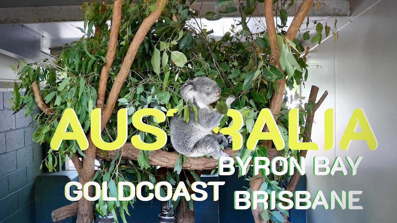 大自然と街を満喫する、ゴールドコースト・バイロンベイ・ブリスベン【VLOG】(2025.11)
