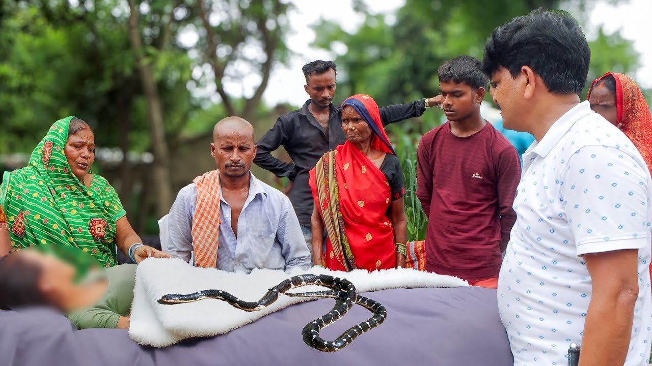 इस बार तो Doctor की लापरवाही ने ली जान! परिजन कहते रह गए कि साँप ने काटा है फिर भी नहीं माना डाक्टर.