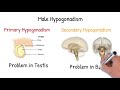 Male Hypogonadism - simply explained