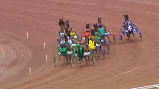 Vidéo de la course PMU PRIX DE SAINT-CERNIN