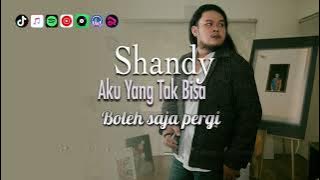 Shandy - Aku Yang Tak Bisa | Video Lirik