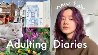 a wholesome week off: visiting my favorite shops/cafes, drawing, being a cat nanny & dyeing my hair💜