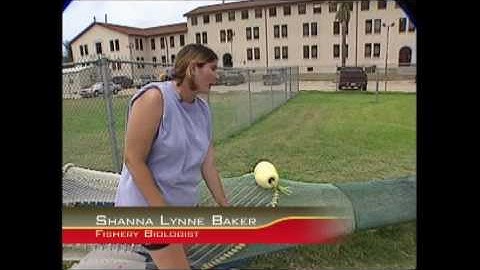 Unit 2 - Turtle excluder (Pathways)