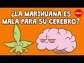 ¿La marihuana es mala para el cerebro? - Anees Bahji